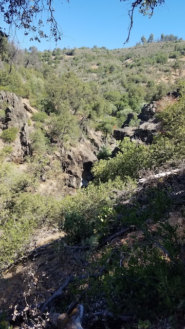 Part of the Stockton Creek Preserve below the Stockton Creek Reservoir
