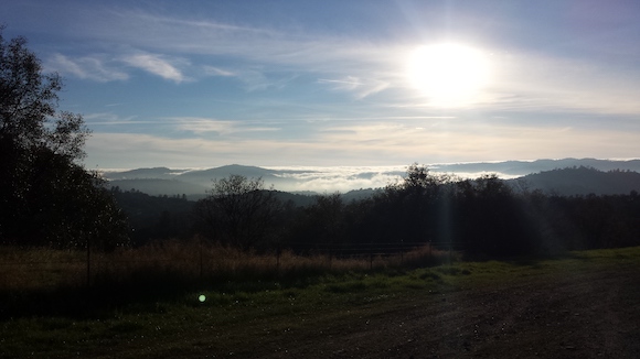 Fog covered Californian central valley