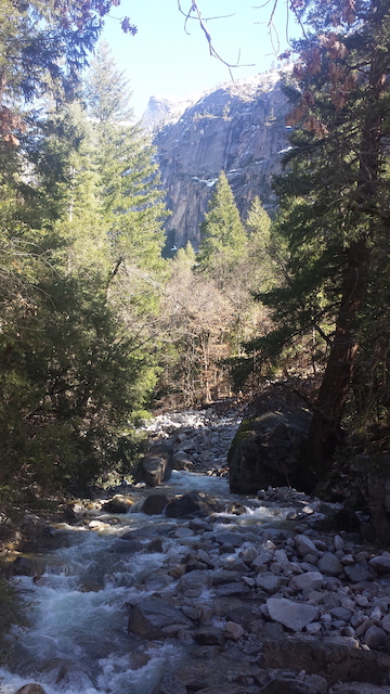 Tenaya Creek from the Tenaya Creek bridge