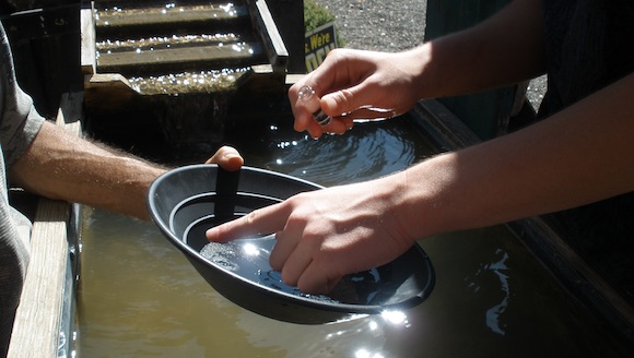 Gold panning in Mariposa