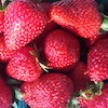 June Photo