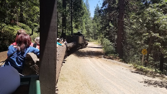 Sugar Pine Raiload