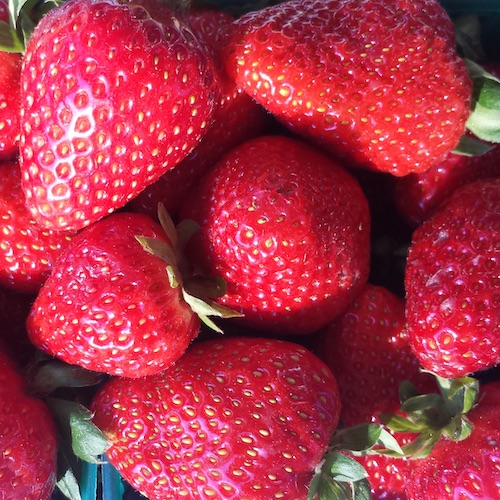 Fresh Strawberries