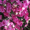 March Photo