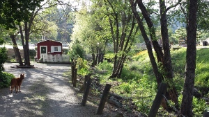 Mariposa Creek