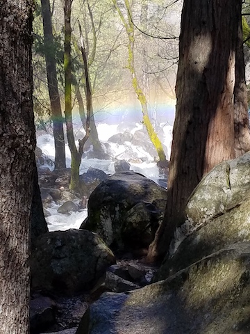 The spray from Bridalveil Fall creates a rainbow above Bridalveil Creek