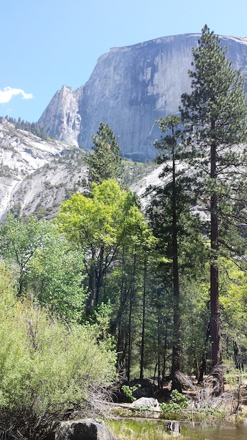 Half Dome seen from Mirror Lake