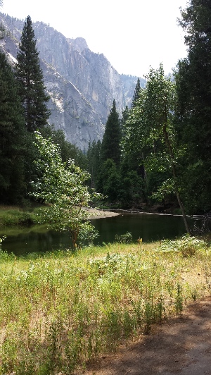 Merced River in Yosemite Valley