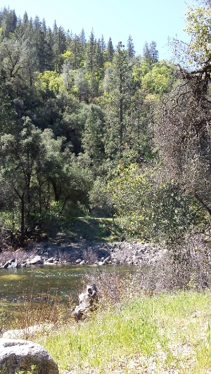 Merced River