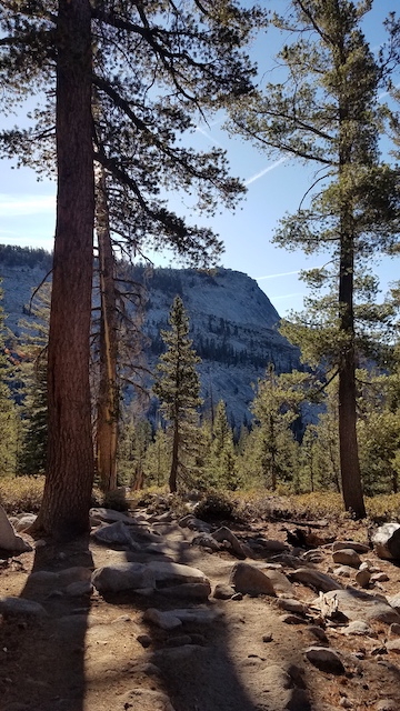 The Sunrise Trail near Tanaya Lake in Yosemite.