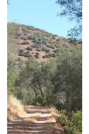 Stockton Reservoir Creek Trail