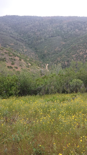 Upper Stockton Creek Reservoir Trail view