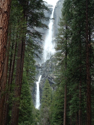 Yosemite Falls Under Snow