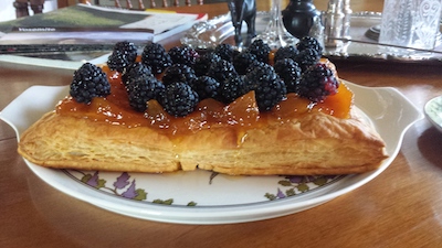 Blackberry/Apricot Tart