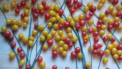Cherry tomatoes and chives