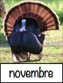 novembre